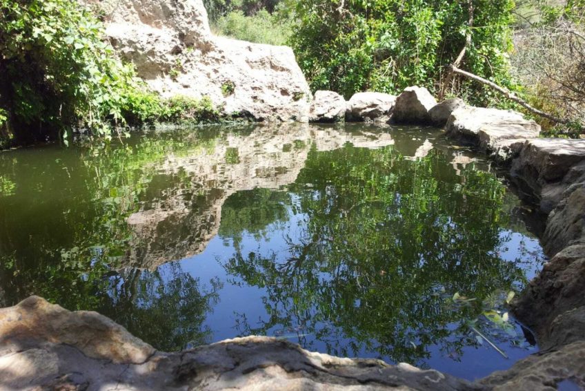 Ein Sarig Spring
