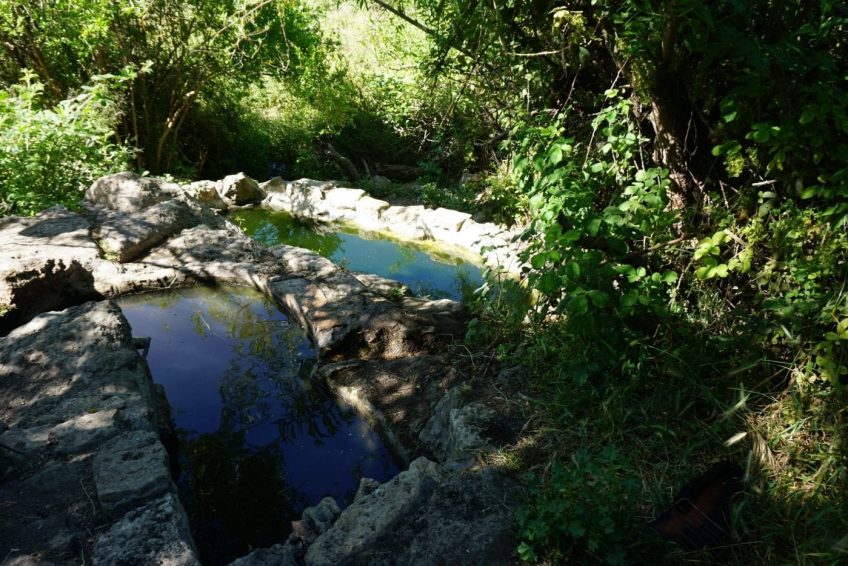 Ein Sarig Spring