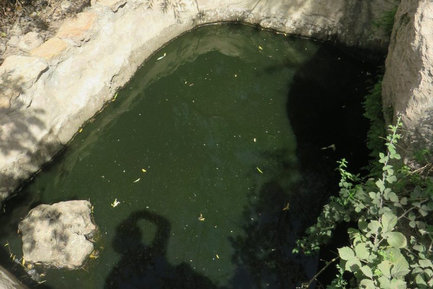 Ein Sarig Spring