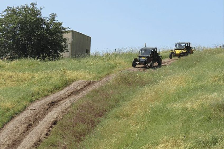 Extreme olami