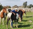 Gil Golan riding center