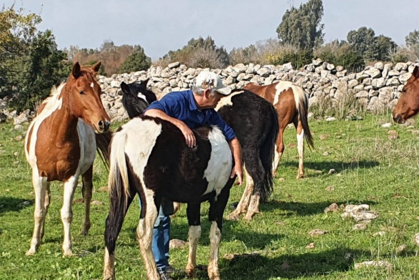 Gil Golan riding center