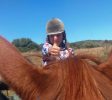 Gil Golan riding center