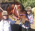 Gil Golan riding center