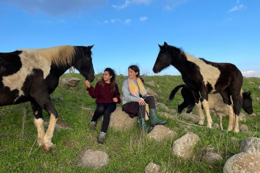 Gil Golan riding center