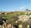 Gush Etzion ATV