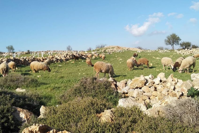 Gush Etzion ATV