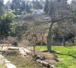 Harod Spring