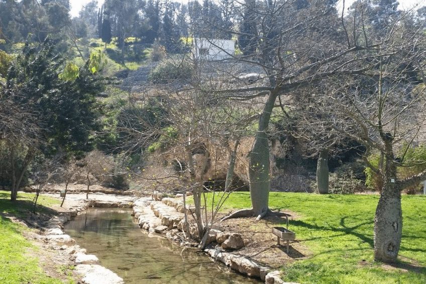 Harod Spring