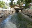 Ma’ayan Harod