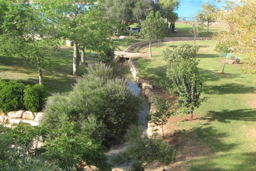 Harod Spring