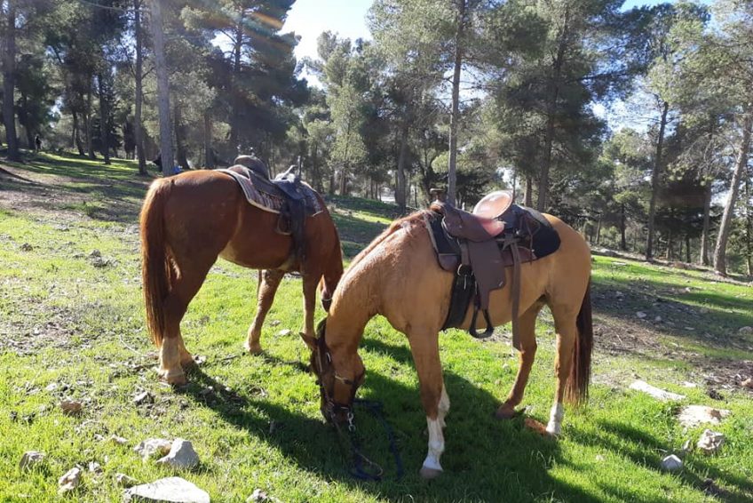 Havaya Bagiva Horse Riding