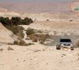 In The Low Gear