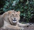 Jerusalem Biblical Zoo