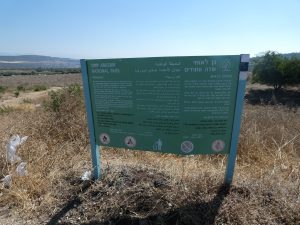 Khirbet Amodam Ancient Synagogue Khirbet Amodam Ancient Synagogue
