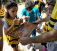 Lin Honey Bees Farm