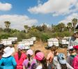 Lin Honey Bees Farm