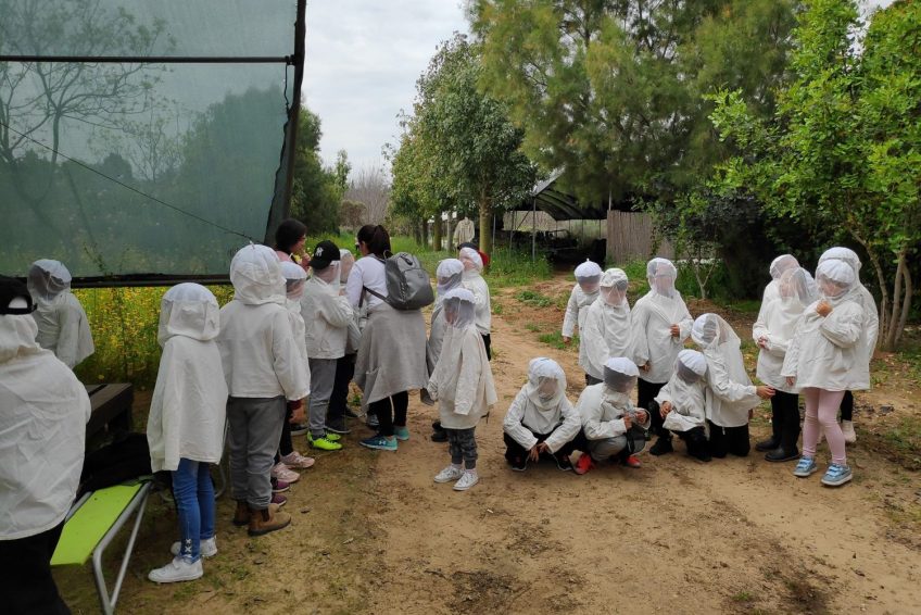 Lin Honey Bees Farm