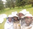 Lin Honey Bees Farm