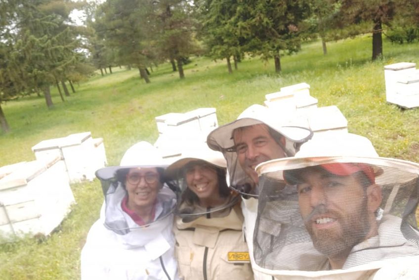 Lin Honey Bees Farm