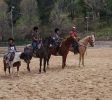 Mountain view Horse farm