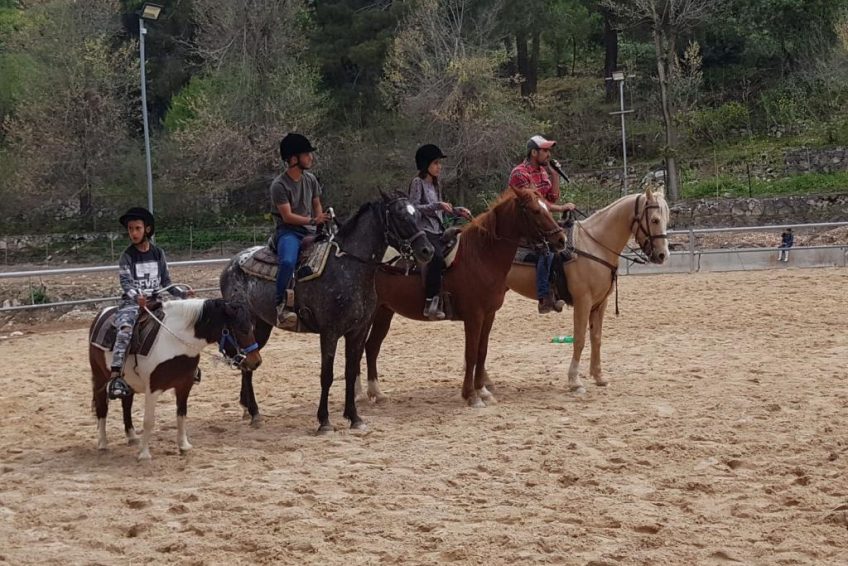 Mountain view Horse farm