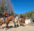 Mountain view Horse farm