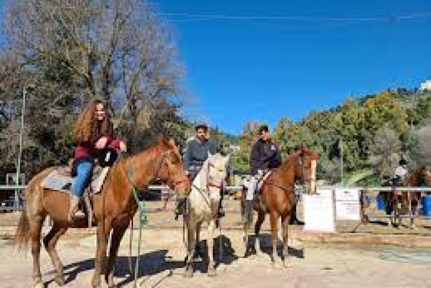 Mountain view Horse farm