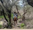 Mountain view Horse farm