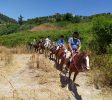 Mountain view Horse farm