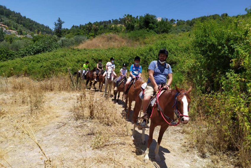 Mountain view Horse farm