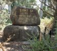 Reuven Garden – Acorn Eye