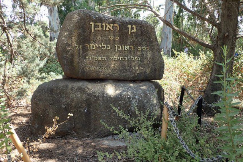 Reuven Garden – Acorn Eye