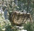 Reuven Garden – Acorn Eye
