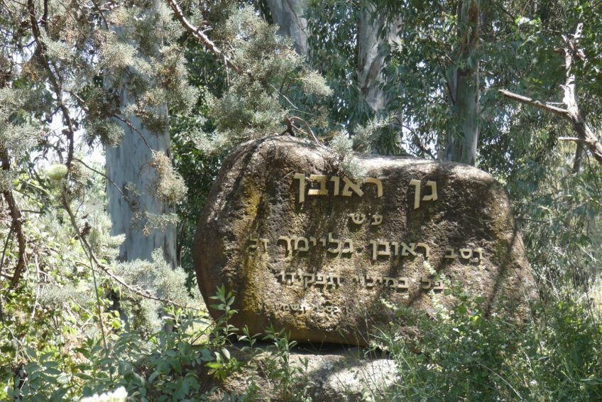 Reuven Garden – Acorn Eye