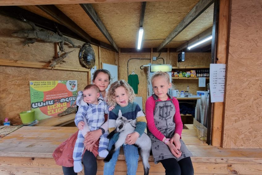 Shlomo’s Animal Farm
