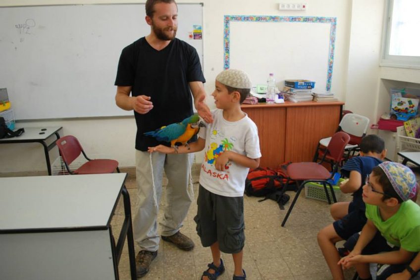 Shlomo’s Animal Farm