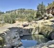 Tamar Spring