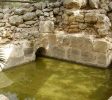 Tamar Spring