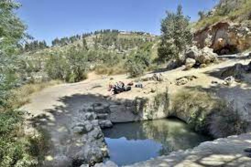 Tamar Spring