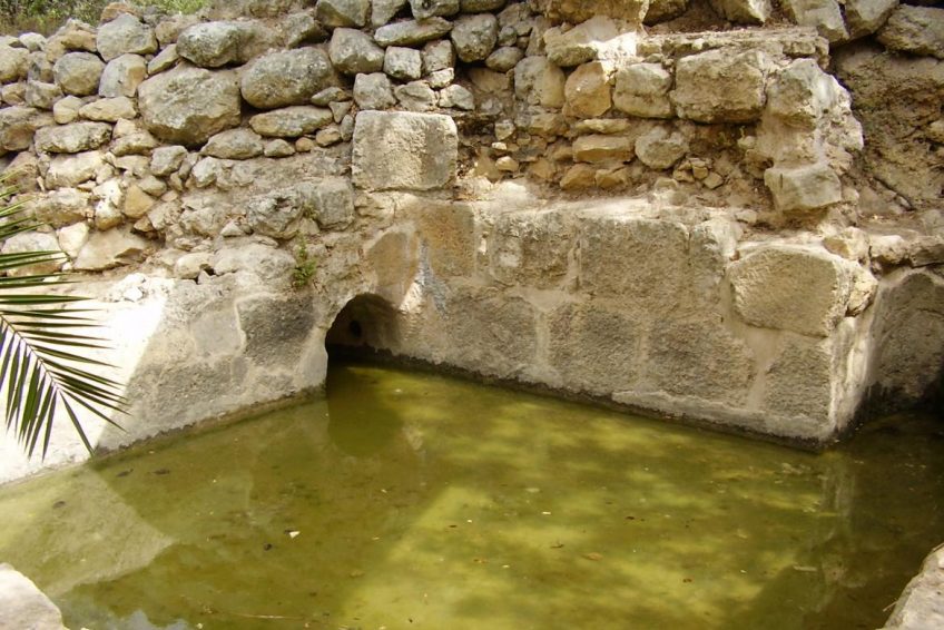 Tamar Spring