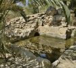 Tamar Spring