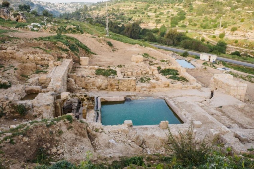 Tamar Spring