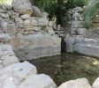 Tamar Spring