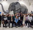 The Biblical Museum of Natural History
