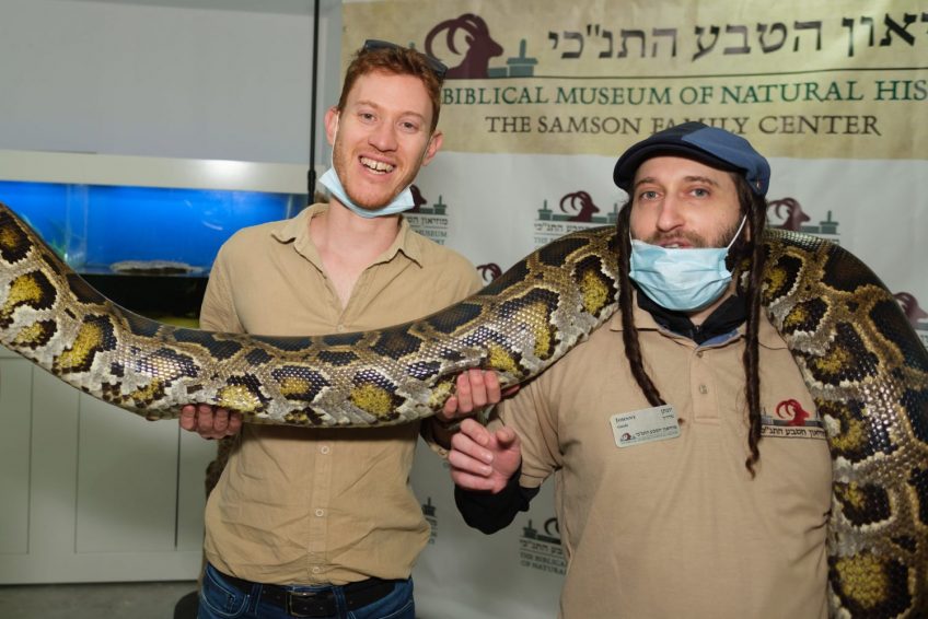 The Biblical Museum of Natural History