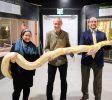 The Biblical Museum of Natural History